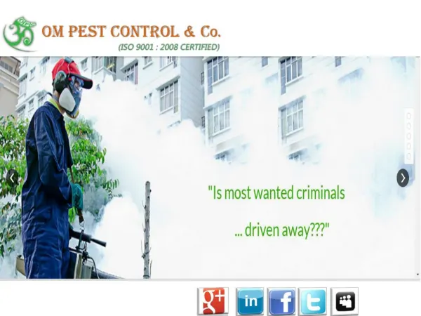 Reliable Pest Control Company Odisha