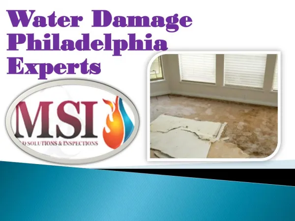 Water Damage Philadelphia Experts