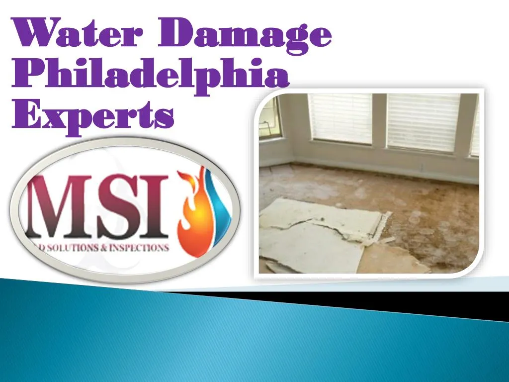 water damage philadelphia experts