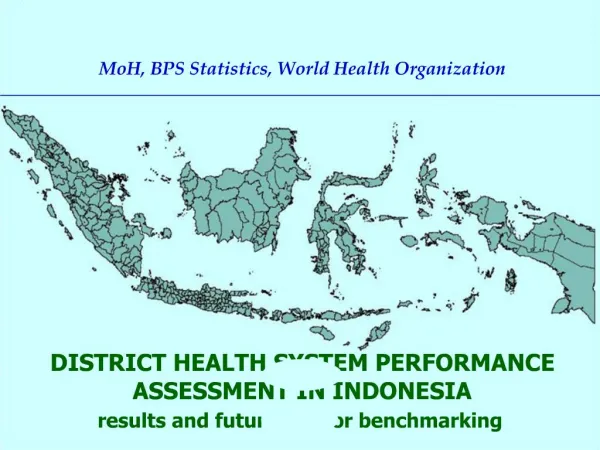 MoH, BPS Statistics, World Health Organization
