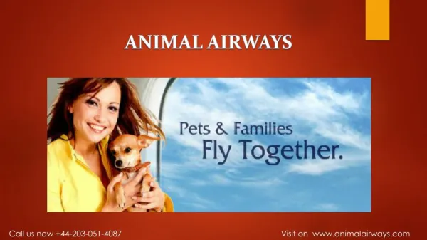 Animal Airways Revolutionizes Pet & Family Travel with Flight Management Service