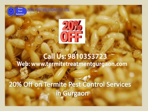 20% Off on Termite Pest Control Services in Gurgaon Call 9810353723