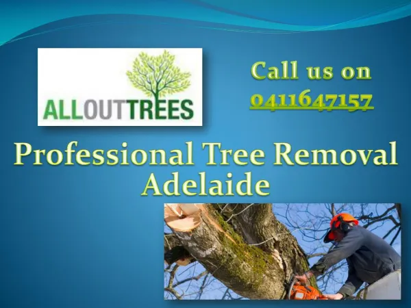 Affordable Tree Removal Adelaide