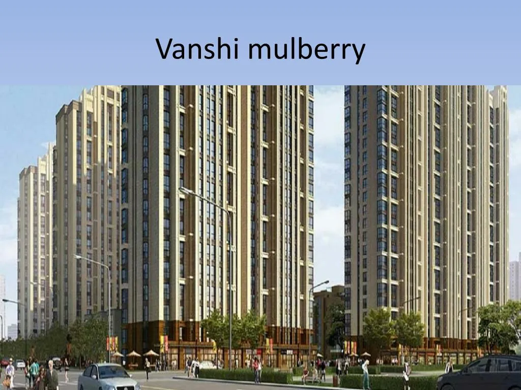 vanshi mulberry