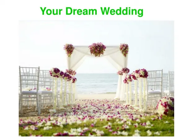 Your Dream Wedding