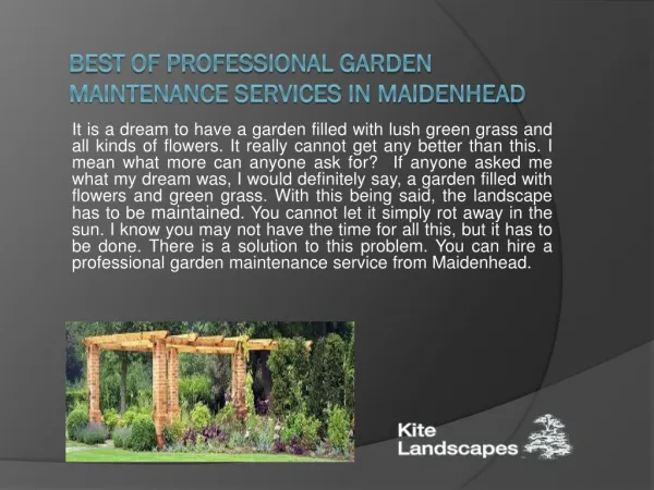 Best of Professional Garden Maintenance Services in Maidenhead