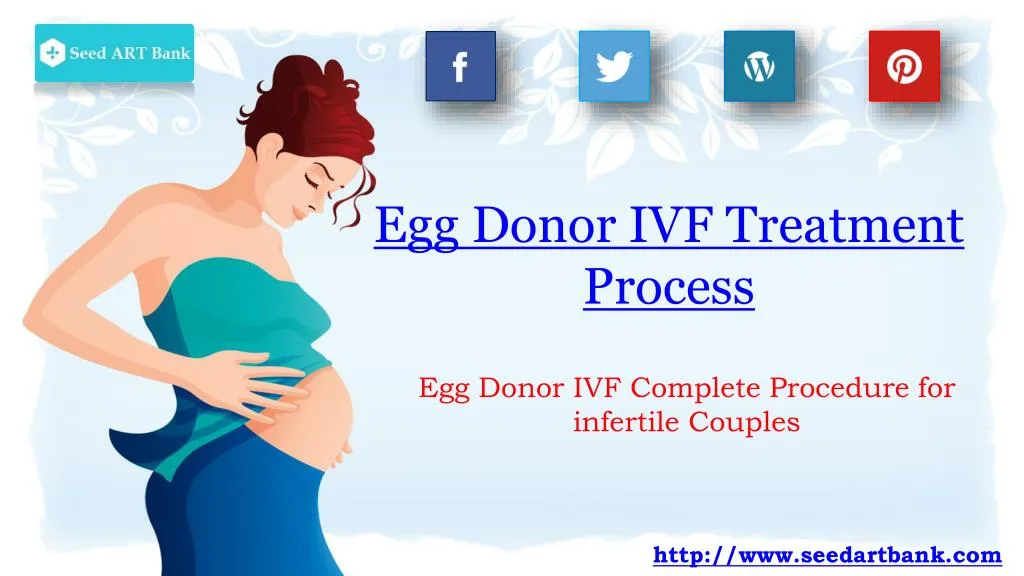 egg donor ivf treatment process