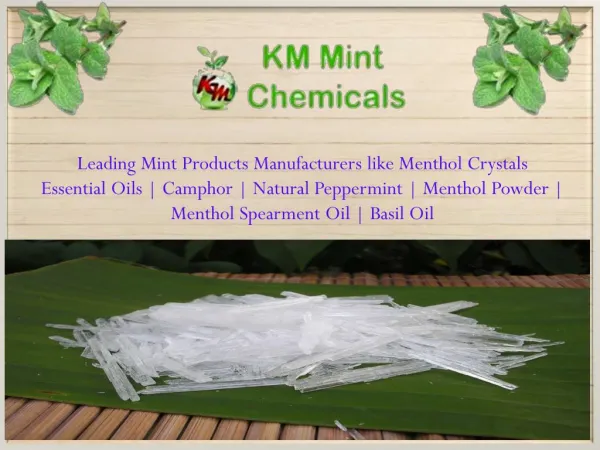 Natural Menthol Crystals Manufacturers