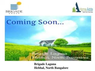 Brigade Laguna - slide 1