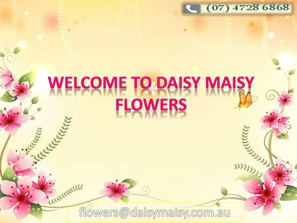 welcome to daisy maisy flowers