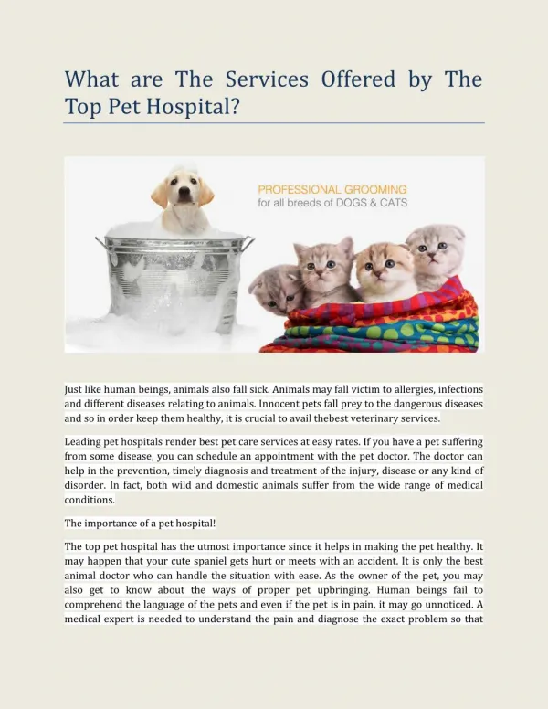 What are The Services Offered by The Top Pet Hospital?