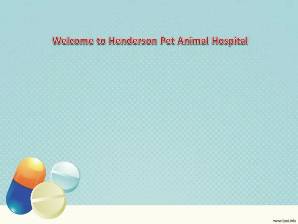 Contact Us for Medical Assistance to Your Pets