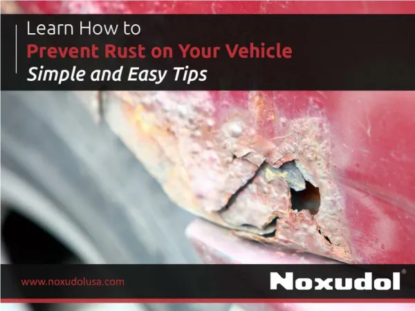 Simple Tips to Take Care Your Vehicle from Rust