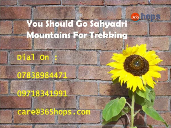 You Should Go Sahyadri Mountains For Trekking