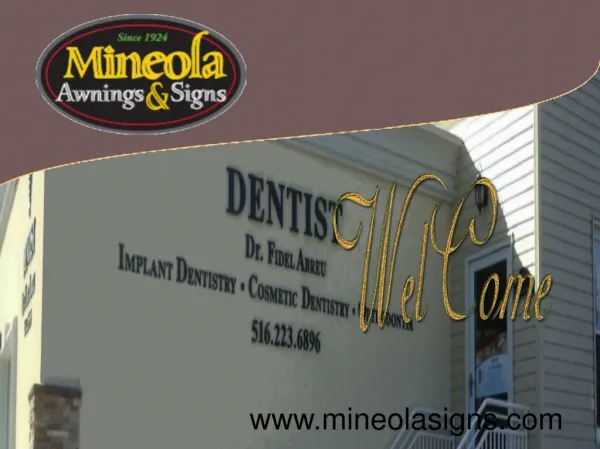 Mineolasigns Projects