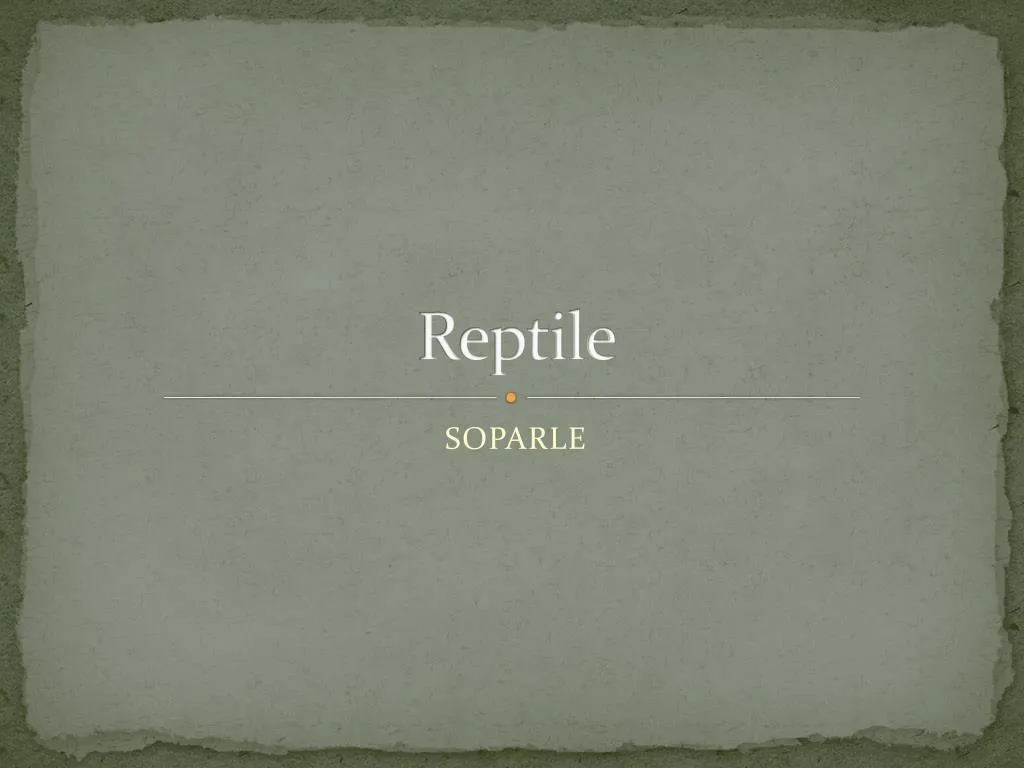 reptile