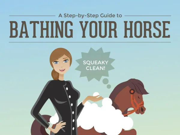 A Step-by-Step Guide to Bathing Your Horse