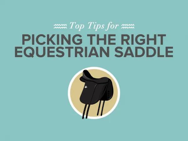 Top Tips for Picking the Right Equestrian Saddle