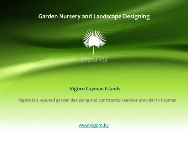 Creative Landscape Ideas to Transform Your Garden Area