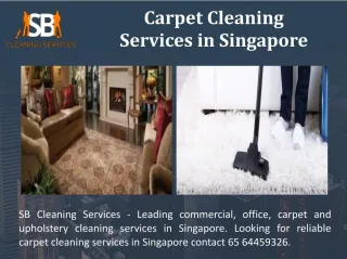 Carpet Cleaning Services - slide 1
