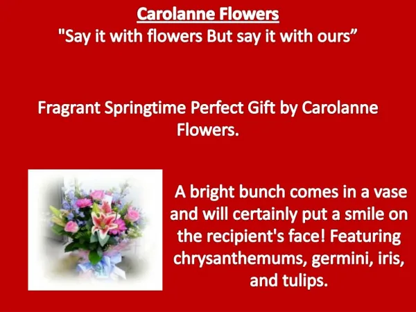 Fragrant Springtime Perfect Gift by Carolanne Flowers