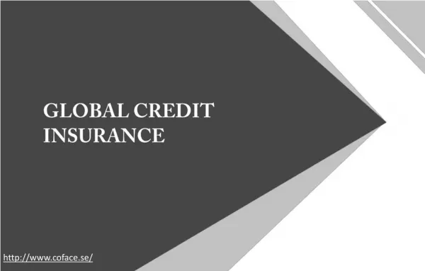 Ways in which global credit insurance can be beneficial to companies