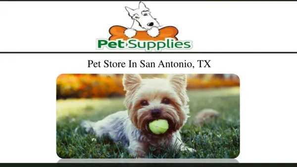 Pet Store In San Antonio, TX