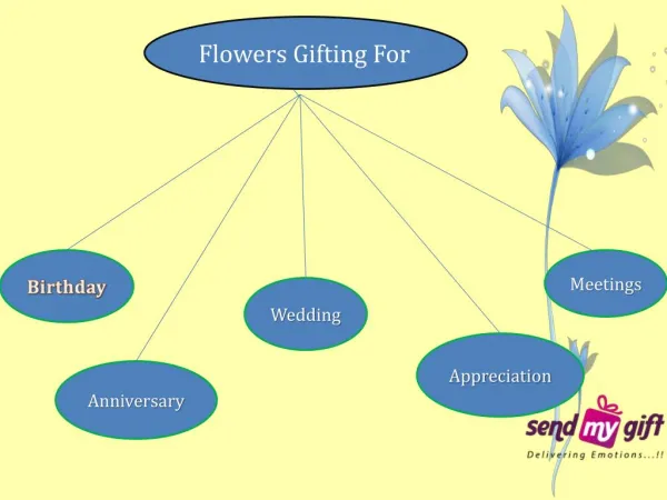 Flowers Online Bunches, Bouquets, Assortment Flower India