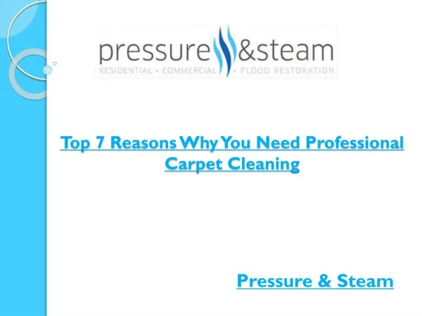 Top 7 Reasons Why You Need Professional Carpet Cleaning