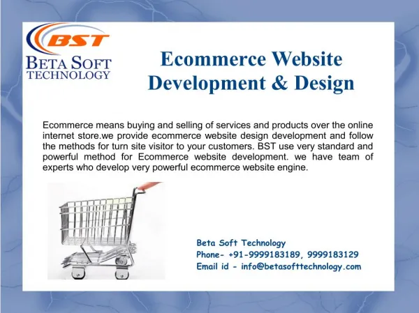 Website Designing & Development Services – Beta Soft Technology
