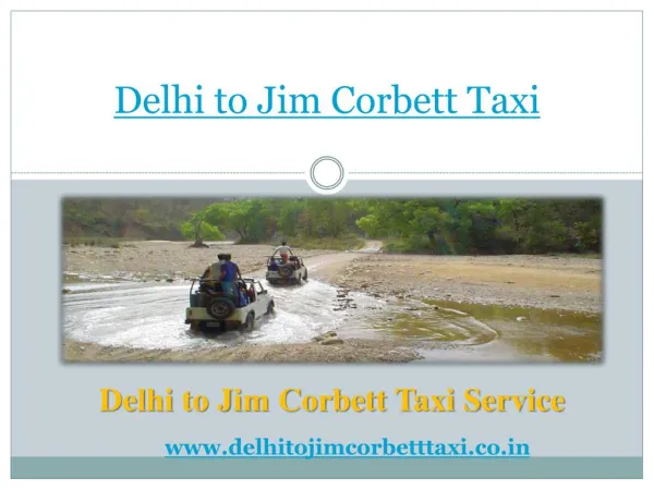 Delhi to Jim Corbett Taxi