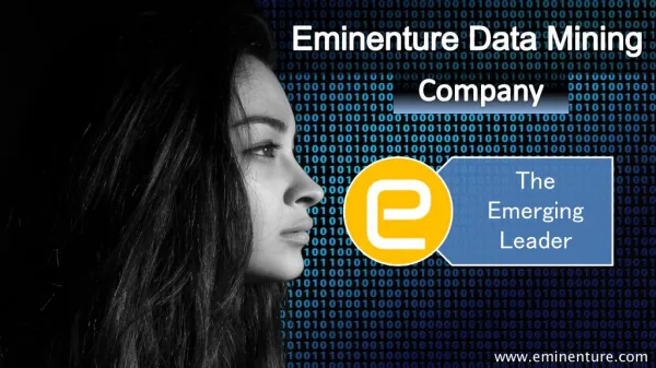 Eminenture Data Mining Company-The Emerging Leader
