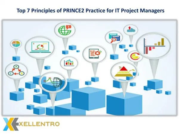 Top 7 Principles of PRINCE2 Practice for IT Project Managers