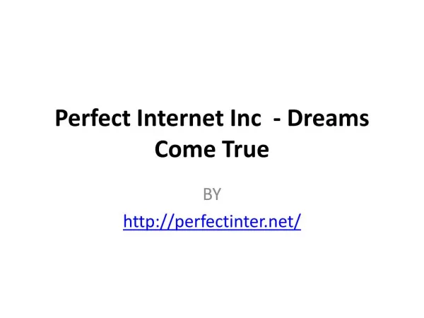 Perfect Internet Inc Review