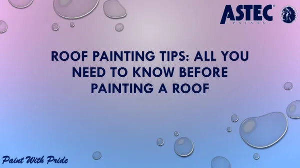 Roof Painting Tips: All You Need to Know Before Painting a Roof