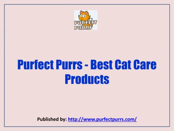Best Cat Care Products