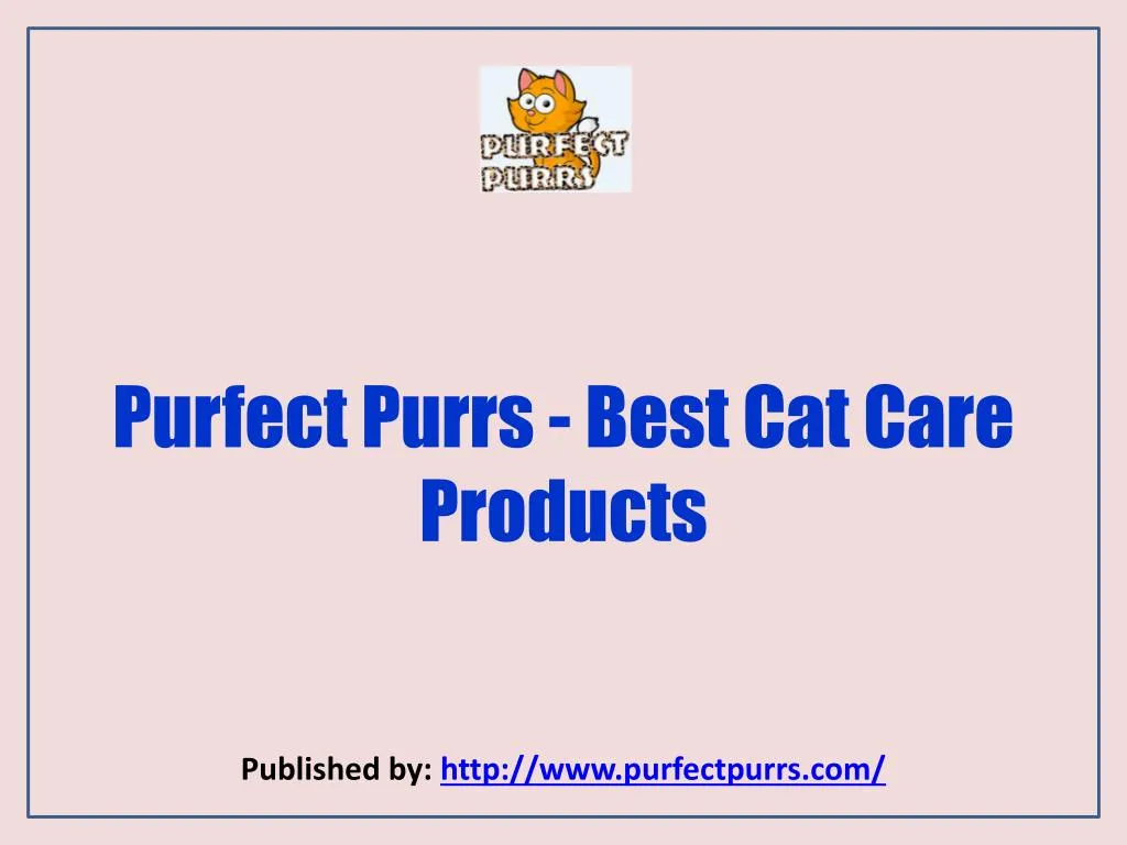 purfect purrs best cat care products