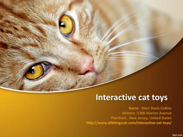 Essential products for cats-Interactive cat toys-Catz