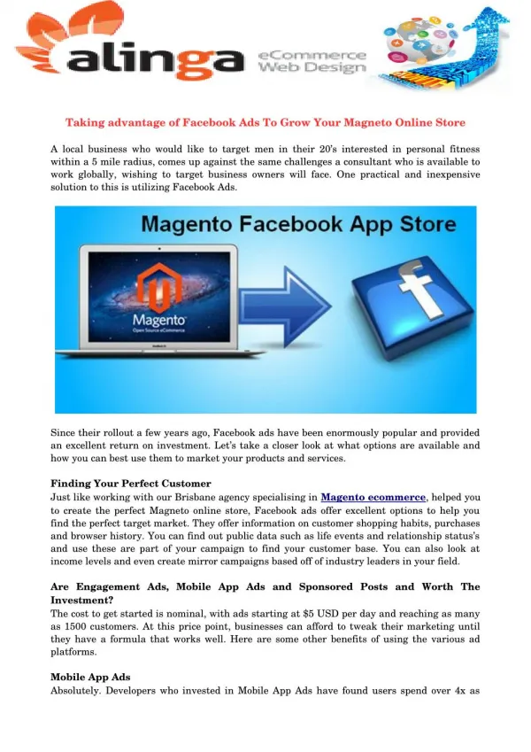 Taking advantage of Facebook Ads To Grow Your Magneto Online Store