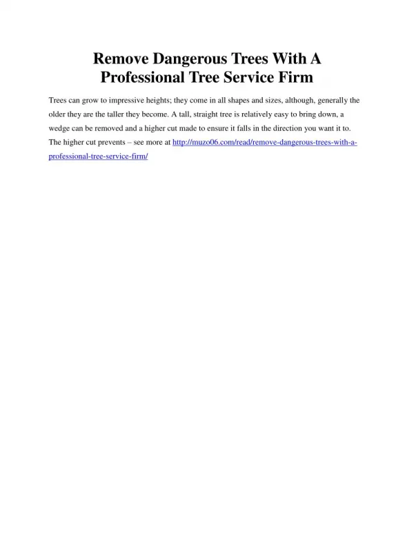 Remove Dangerous Trees With A Professional Tree Service Firm