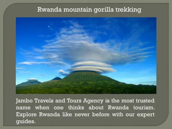 Rwanda mountain gorilla tours