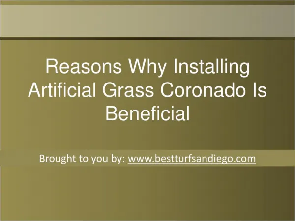 Reasons Why Installing Artificial Grass Coronado Is Beneficial