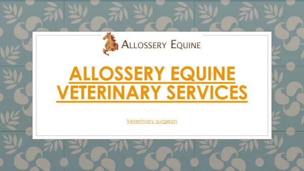 Allossery Equine Veterinary Services