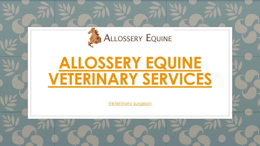 allossery equine veterinary services