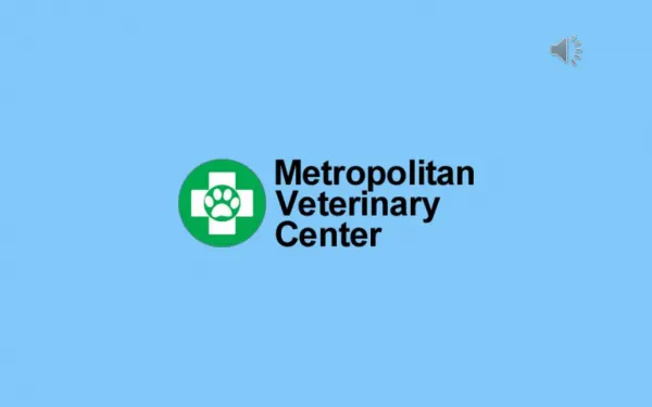 Chicago's Trusted Veterinary Hospital - Metropolitan Veterinary Center