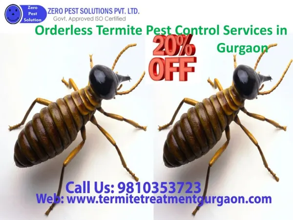 Orderless termite pest control services in gurgaon call 9810353723
