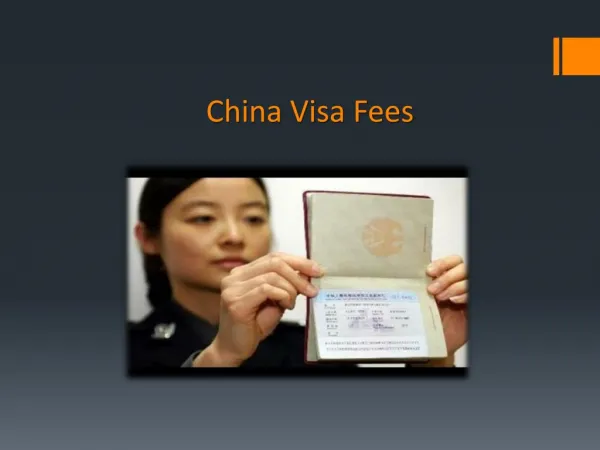 Chinese Tourist Visa Application Process for First Time