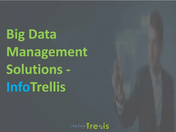 Infotrellis Big Data Management Solutions
