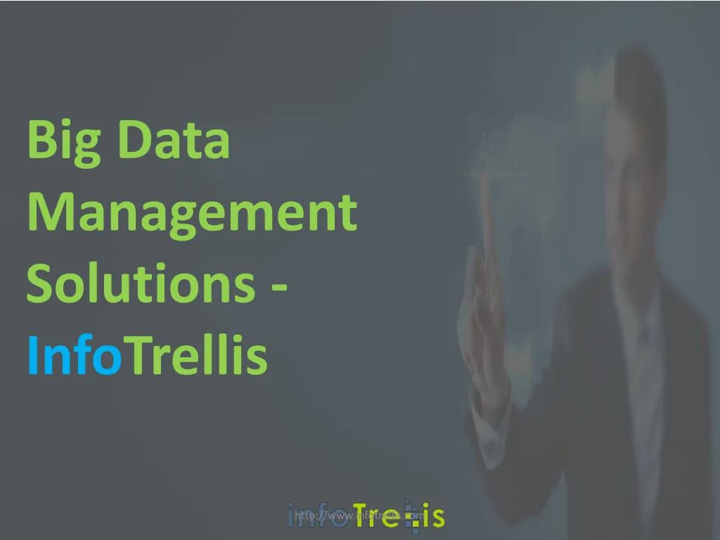 big data management solutions info trellis