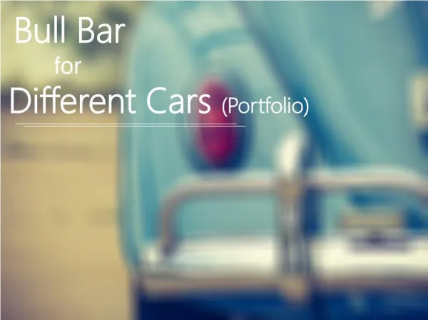 Bull Bars for Different Cars(Portfolio)